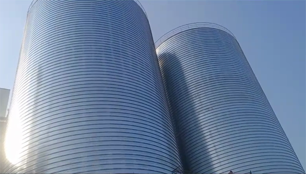 西塞山2座混凝土高架卷板仓